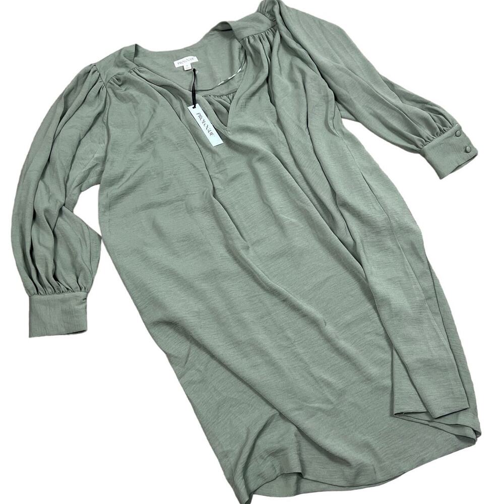 Prologue Women's Pale Green Balloon Long Sleeve Dress - Size Medium - NWT